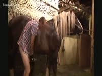 Beastiality Video - Horny gay gets horse anal sex